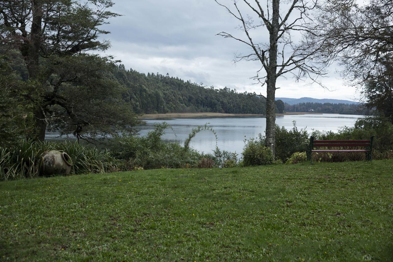 Casa Río Vivo Valdivia Exterior foto